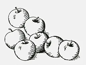 Black and white digital illustration of ripe apples Black and white digital illustration of ripe apples