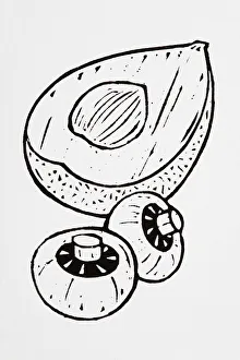 Black and white illustration of avocado half and two mushrooms Black and white illustration of avocado half and two mushrooms