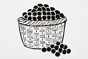 Black and white illustration of basket of cherries Black and white illustration of basket of cherries