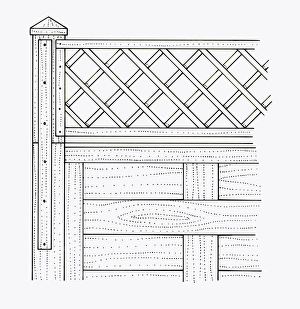 Black and white illustration of batten and trellis nailed to garden fence Black and white illustration of batten and trellis nailed to garden fence