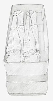 Black and white illustration of bunches of dried flowers wrapped up in newspaper and packed in a box Black and white illustration of bunches of dried flowers wrapped up in newspaper and packed in a box