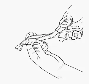 Black and white illustration of deveining prawn using scissors to cut along back Black and white illustration of deveining prawn using scissors to cut along back