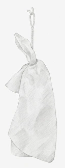 Black and white illustration of dried hydrangea flower hung up to dry, wrapped individually in tissue paper Black and white illustration of dried hydrangea flower hung up to dry, wrapped individually in tissue paper