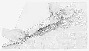 Black and white illustration of hands wrapping a bunch of dried flowers in newspaper (storing dried flowers) Black and white illustration of hands wrapping a bunch of dried flowers in newspaper (storing dried flowers)