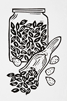 Black and white illustration of nuts and seeds, in jar and on spoon Black and white illustration of nuts and seeds, in jar and on spoon