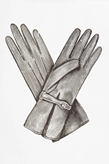 Black and white illustration of pair of ladies gloves Black and white illustration of pair of ladies gloves
