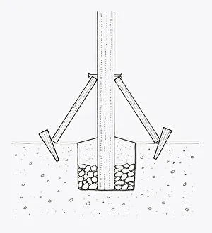 Black and white illustration of repositioned and repaired wooden post using supports, hardcore and c Black and white illustration of repositioned and repaired wooden post using supports, hardcore and c