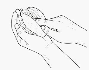 Black and white illustration of rubbing salt into lemon slices to preserve Black and white illustration of rubbing salt into lemon slices to preserve