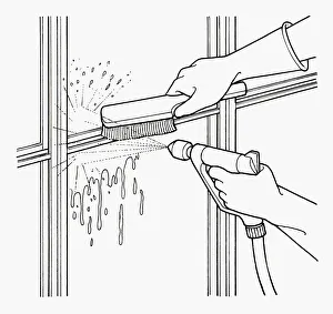 Black and white illustration of scrubbing mould from greenhouse window frame using water Black and white illustration of scrubbing mould from greenhouse window frame using water