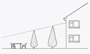 Black and white illustration of showing how to use trees for shade and privacy in garden Black and white illustration of showing how to use trees for shade and privacy in garden