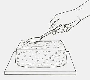 Black and white illustration of spooning syrup on top of baked cake Black and white illustration of spooning syrup on top of baked cake