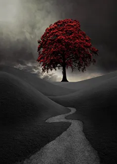<b class=qtipBold><figcaption>black and white mystery landscape</figcaption></b><br>mysterious spooky landscapes<br><em>© Heaven's Gift xxx89</em> black and white mystery landscape