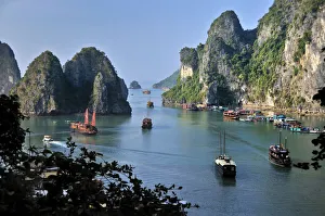 Boats and junks in Halong Bay, karst mountains in the sea, Vietnam, Asia Boats and junks in Halong Bay, karst mountains in the sea, Vietnam, Asia