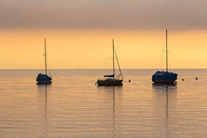 Boats on Lake Constance near Landschlacht in the morning, Switzerland, Europe Boats on Lake Constance near Landschlacht in the morning, Switzerland, Europe