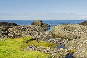 Bog pools in weathered basalt blocks at Northern Irish coast at Ballintoy Harbour Bog pools in weathered basalt blocks at Northern Irish coast at Ballintoy Harbour