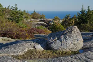Boulder on Cadillac Mountain, Frenchman Bay, Acadia National Park, Maine, New England, USA Boulder on Cadillac Mountain, Frenchman Bay, Acadia National Park, Maine, New England, USA