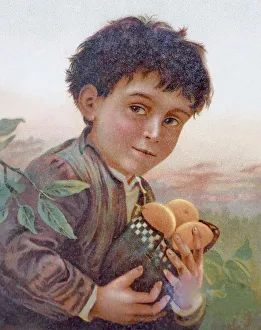 <b class=qtipBold><figcaption>Boy holding a bag filled with fruits</figcaption></b><br>Illustration from 19th century<br><em>© This content is subject to copyright.</em> Boy holding a bag filled with fruits