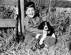 Boy sitting leaning against fence, holding spaniel puppy, smiling and laughing Boy sitting leaning against fence, holding spaniel puppy, smiling and laughing