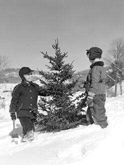 Images Dated 11th October 2005: Two Boys Chopping Down Christmas Tree In Snow Outdoor