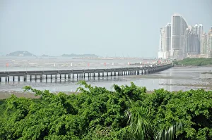 Bridge, Estuary, Forest, Skyscrapers, Panama City Bridge, Estuary, Forest, Skyscrapers, Panama City