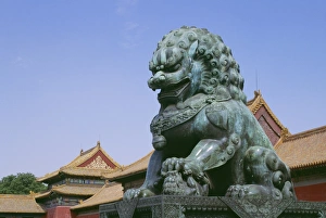 Bronze statue of a lion in the Forbidden City, Beijing, China Bronze statue of a lion in the Forbidden City, Beijing, China