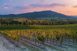 Brunello Montalcino vineyards and city in autumn at sunset Brunello Montalcino vineyards and city in autumn at sunset