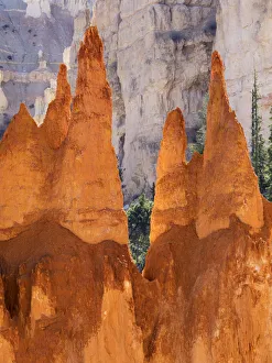 Bryce Canyon and Hoodoos along Peekaboo Loop Trail, Bryce Canyon National Park, Utah, USA Bryce Canyon and Hoodoos along Peekaboo Loop Trail, Bryce Canyon National Park, Utah, USA