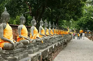 Images Dated 19th August 2006: Buddha Statues at Wat Yai Chaya Mongkol