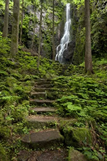 Burgbach Waterfall in Schapbach, Black Forest, Baden-Wuerttemberg, Germany, Europe Burgbach Waterfall in Schapbach, Black Forest, Baden-Wuerttemberg, Germany, Europe