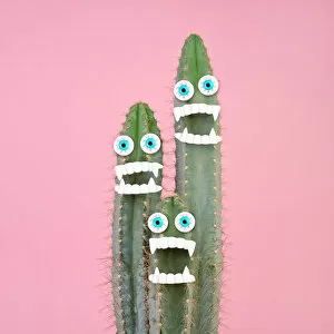 Halloween Collection: Cactus plant with teeth and eyes