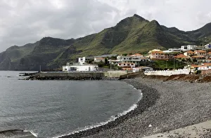 Canical, Madeira, Atlantic Ocean, Portugal, Europe Canical, Madeira, Atlantic Ocean, Portugal, Europe