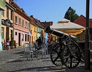 Cannons Collection: Cannon at Bulevardul Corneliu Coposco, Haller Bastion, Sibiu, Romania