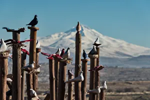 CAPPADOCIA CAPPADOCIA