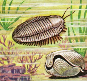 Whimsical Sea Creature Print Art Illustration
