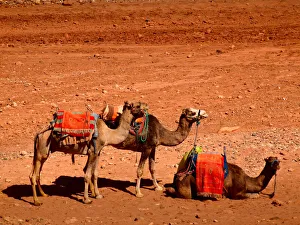 Caravan Caravan