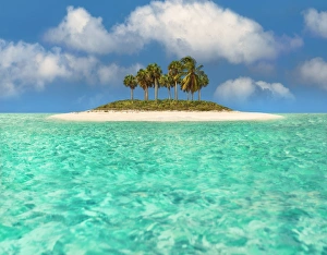 Caribbean Paradise Caribbean Paradise