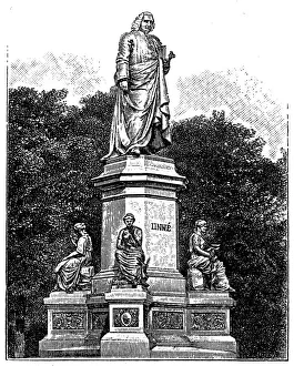 Carl Linnaeus monument in Stockholm, Sweden Carl Linnaeus monument in Stockholm, Sweden