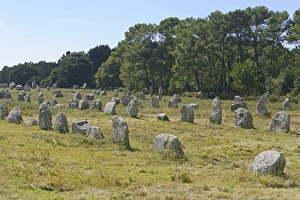 Carnac stones, menhirs near Carnac, Departement Morbihan, Brittany, France Carnac stones, menhirs near Carnac, Departement Morbihan, Brittany, France