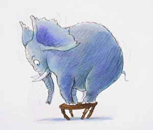 Images Dated 24th January 2007: Cartoon elephant standing on small stool, side view