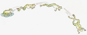 Cartoon of frog sitting on water lily and frogs jumping Cartoon of frog sitting on water lily and frogs jumping