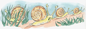 Cartoon of row of underwater sea snails with mouths open and alert eyes on top of tentacles Cartoon of row of underwater sea snails with mouths open and alert eyes on top of tentacles