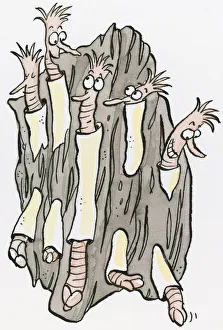 Cartoon of Shipworms using shells to bore through driftwood Cartoon of Shipworms using shells to bore through driftwood