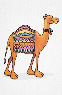 Cartoon, smiling Dromedary (Camelus dromedarius) standing with its eyes closed Cartoon, smiling Dromedary (Camelus dromedarius) standing with its eyes closed