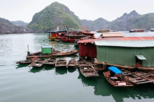 Cat Ba fishing port