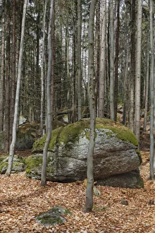 Celtic place of worship at Druidenweg in the inner stone circle, Yspertal, Waldviertel Celtic place of worship at Druidenweg in the inner stone circle, Yspertal, Waldviertel
