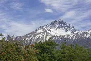 Cerro Castillo mountain range and Chilean fire bush, also Notro or ciruelillo -Embothrium Cerro Castillo mountain range and Chilean fire bush, also Notro or ciruelillo -Embothrium