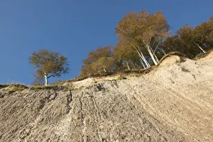 Chalk cliffs and a beech forest in autumn, Jasmund National Park, Ruegen, Mecklenburg-Western Pomerania, Germany Chalk cliffs and a beech forest in autumn, Jasmund National Park, Ruegen, Mecklenburg-Western Pomerania, Germany