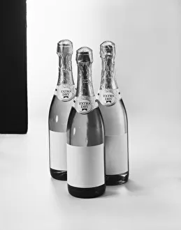 Champagne bottles against white background, close-up Champagne bottles against white background, close-up