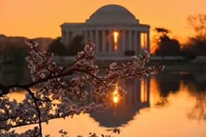 <b class=qtipBold><figcaption>Cherry blossom sunrise</figcaption></b><br>The sunrises through the pillars of the Jefferson Memorial in Washington DC during the peak blossoms of the famed cherry trees.<br><em>© ©Michael Rickard 2014</em> Cherry blossom sunrise
