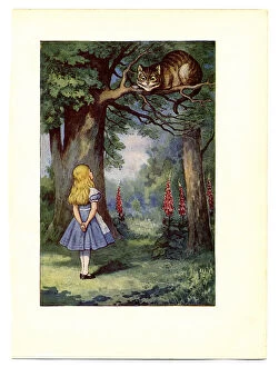 Related Images Collection: Cheshire Cat on tree illustration, (Alices Adventures in Wonderland)